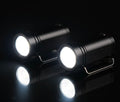 NCG Keychain Flashlight 2-Pack